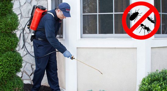 Selçuk Kene İlaçlama böcek ilaçlama ve haşere kontrolü — ilaclama-tr.com